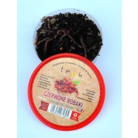 DENDROBENA ECO TEYK Nr 2 - z opakow. (czerw.robak)