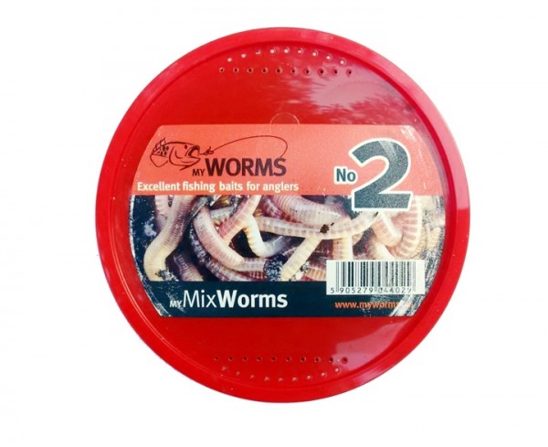 Dendrobaena Worms No. 2 - Small