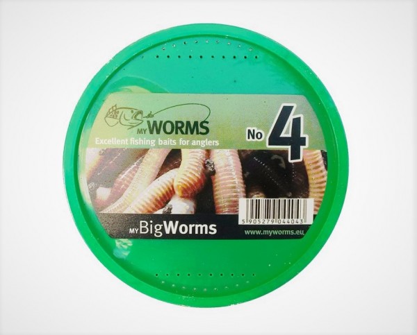 Dendrobaena Worms No. 4 - Large