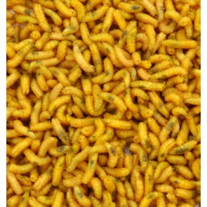 Yellow Maggots - 1 Litre